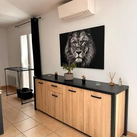 Lion House * Saint-Gilles (Gard)