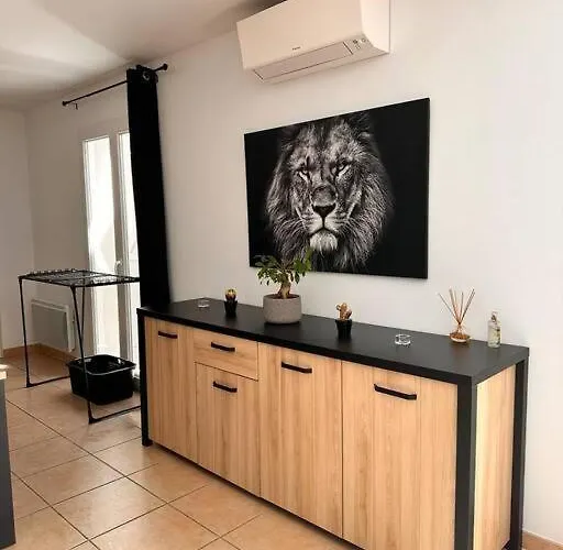 Lion House * Saint-Gilles (Gard)